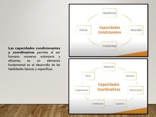Las capacidades condicionantes
y coordinativas permite al ser
humano moverse voluntaria y
eficiente, es un elemento
fundamental en el desarrollo de las
habilidades básicas y especificas.
 