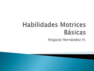 Angarat Hernández H.
 