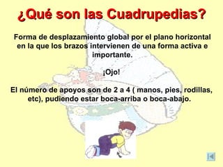 ¿Qué son las Cuadrupedias?
Forma de desplazamiento global por el plano horizontal
 en la que los brazos intervienen de una forma activa e
                       importante.

                          ¡Ojo!

El número de apoyos son de 2 a 4 ( manos, pies, rodillas,
     etc), pudiendo estar boca-arriba o boca-abajo.
 