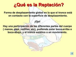 ¿Qué es la Reptación?
Forma de desplazamiento global en la que el tronco está
   en contacto con la superficie de desplazamiento.

                          ¡Ojo!
Hay una participación de las diferentes partes del cuerpo
( manos, pies, rodillas, etc), pudiendo estar boca-arriba o
    boca-abajo, y el tronco estático o en movimiento.
 