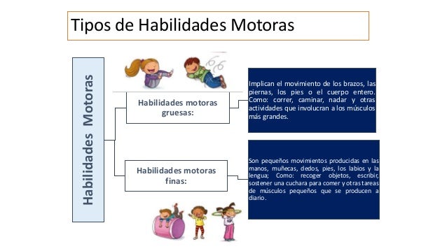 Habilidades motrices