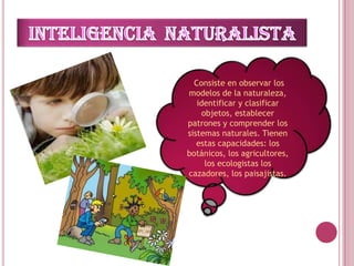 Consiste en observar los
modelos de la naturaleza,
   identificar y clasificar
     objetos, establecer
patrones y comprender los
sistemas naturales. Tienen
   estas capacidades: los
botánicos, los agricultores,
      los ecologistas los
cazadores, los paisajistas.
 