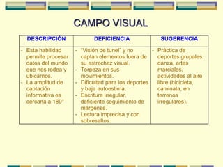 CAMPO VISUAL 