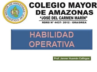 Prof. Jenner Huamán Callirgos
 
