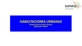 HABILITACIONES URBANAS
Remigio Aparicio Rojas Espinoza
Registrador Público
 