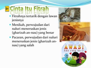  Fitrahnya tertarik dengan lawan
  jenisnya
 Menikah, perwujudan dari
  naluri meneruskan jenis
  (gharizah an-nau) yang benar
 Pacaran, perwujudan dari naluri
  meneruskan jenis (gharizah an-
  nau) yang salah
 