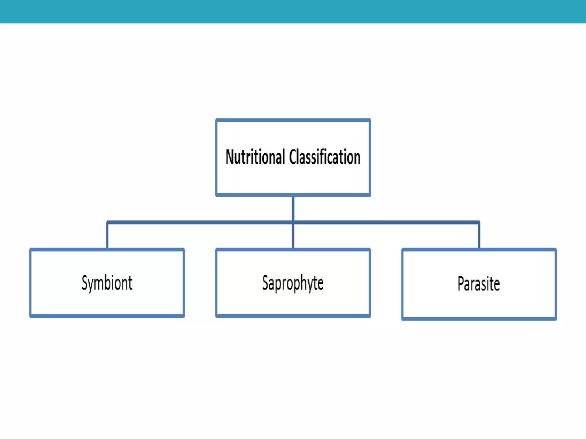 habit-and-habitat-of-fungi-ppt