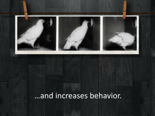 …and	
  increases	
  behavior.
 