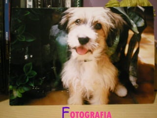F OTOGRAFIA 