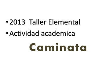 •2013 Taller Elemental
•Actividad academica
Caminata
 