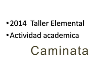 •2014 Taller Elemental
•Actividad academica
Caminata
 