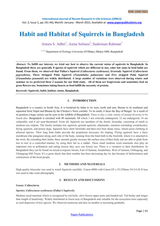 ISSN 2349-7823
International Journal of Recent Research in Life Sciences (IJRRLS)
Vol. 2, Issue 1, pp: (41-44), Month: January - March 2015, Available at: www.paperpublications.org
Page | 41
Paper Publications
Habit and Habitat of Squirrels in Bangladesh
Antara S. Adhri1
, Asma Sultana2
, Sadniman Rahman3
1, 2, 3
Department of Zoology University Of Dhaka, Dhaka-1000, Bangladesh
Abstract: To fulfill our interest, we tried our best to observe the current status of squirrels in Bangladesh. In
Bangladesh there are generally 8 species of squirrels which are different in size, color but same in food habit are
found. From them, we observed that Pallas’s Squirrel (Callosciurus erythraeus), Irrawady Squirrel (Callosciurus
pygerythrus), Three Stripped Palm Squirrel (Funambulus palmarum) and Five stripped Palm Squirrel
(Funambulus pennantii) are widely distributed. A large number of variations were observed during winter and
summer as we preferred these 2 seasons for our field study. All of them are frugivorous and sometimes feed on
grass flowers too. Sometimes taking Insects as food fulfill the necessity of protein.
Keywords: Squirrels, habit, habitat, status, Bangladesh.
1. INTRODUCTION
Bangladesh is a country in South Asia. It is bordered by India to its west, north and east; Burma to its southeast and
separated from Nepal and Bhutan by the Chicken’s Neck corridor. To its south, it faces the Bay of Bengal. As a result of
its position a huge variety can be seen in the wildlife of Bangladesh. There is also a wide variety of animal diversity to be
found also. Bangladesh is enriched with 89 mammals. Of which 3 are critically endangered, 12 are endangered, 16 are
vulnerable, and 4 are near-threatened. From all, Squirrels are members of the family Sciuridae, consisting of small or
medium-size rodents. The family includes tree squirrels, ground squirrels, chipmunks, marmots (including woodchucks),
flying squirrels, and prairie dogs. Squirrels have short forelimbs and their toes bear sharp claws, which assist climbing in
arboreal species. Their long hind limbs provide the propulsion necessary for leaping. Flying squirrels have a furry
membrane (the patagium) along each side of the body, running from the hind limb to the forelimb, where it is attached to
the wrist. By extending their limbs, these animals greatly increase the surface area of their body and are able to glide from
tree to tree in a controlled manner, by using their tail as a rudder. These small medium sized mammals also play an
important role in pollination and eating insects they save our forests too. There is a variation in their distribution. In
Bangladesh they can be found on mixed evergreen forests, East of Jamuna, Sundarbans, West of Jamuna, Chittagong, and
Chittagong Hill Tracts. It’s a great shock that their number has been decreasing day by day because of deforestation and
carelessness of the local people.
2. METHODS AND MATERIALS
High quality binocular was used to watch Squirrels carefully. Canon 600D with Canon EF-s 55-250mm f/4-5.6 IS II lens
was used to take some photographs.
3. RESULTS AND DISCUSSIONS
Genus: Callosciurus
Species: Callosciurus erythraeus (Pallas’s Squirrel):
Medium sized mammal which is recognized by red belly, olive brown upper parts and banded tail. Tail bushy and longer
than length of head-body. Widely distributed in forest area of Bangladesh and valuable for the ecosystem roles especially
as seed dispersers of tree species. We observed numerous and also its number is increasing gradually.
 