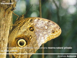 jurerêInternacional®…e nósestamosimplementandonossaprópriareserva natural privada:OLANDI-JURERÊdimensãoAmbiental