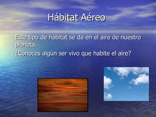 Hábitat Aéreo Este tipo de hábitat se da en el aire de nuestro planeta. ¿Conoces algún ser vivo que habite el aire?