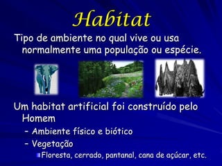 Habitat
Tipo de ambiente no qual vive ou usa
  normalmente uma população ou espécie.




Um habitat artificial foi construído pelo
 Homem
  – Ambiente físico e biótico
  – Vegetação
      Floresta, cerrado, pantanal, cana de açúcar, etc.
 