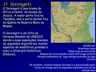 O Serengeti
O Serengeti é uma bioma da
áfrica oriental de savana de
Acacia . A maior parte fica na
Tanzânia, mas a parte boreal fica
na Quênia na Reserva Mara do
Massai.

O Serengeti é um Sítio da
Herança Mundial da UNESCO
devido a suas populações imensas
de ungulados migratórios, muitas
                                                                    25,000 km2
espécies de mamíferos grandes e                                Gramíneas rasas
aves, e sítios pré-históricos                         Solos ricos em nutrientes
(Olduvai).                   Bosques de Acacia desde o oeste até o Lago Victoria
                             Várzeas resultantes de lagos antigos próximos ao Lago
                                                                          Victoria

                       No nordeste, existem bosques deciduos e a precipitação maior
                           forma um refugio para os ungulados migratórios ao fim da
                                                                       estação seca
 