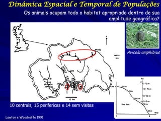 Dinâmica Espacial e Temporal de Populações
           Os animais ocupam todo o habitat apropriado dentro de sua
                                               amplitude geográfica?

                                       39 sites



                                                      Avicola amphibius




  10 centrais, 15 perifericas e 14 sem visitas

Lawton e Woodroffe 1991
 