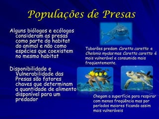 Populações de Presas
Alguns biólogos e ecólogos
  consideram as presas
  como parte do habitat
  do animal e não como       Tubarões predam Caretta caretta e
  espécies que coexistem     Chelonia mydas mas Caretta caretta é
  no mesmo habitat           mais vulnerável e consumida mais
                             freqüentemente.
Disponibilidade e
  Vulnerabilidade das
  Presas são fatores
  chaves que determinam
  a quantidade de alimento
  disponível para um             Chegam a superfície para respirar
  predador                       com menos freqüência mas por
                                 períodos maiores ficando assim
                                 mais vulneráveis
 