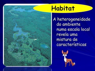 Habitat
A heterogeneidade
 do ambiente
 numa escala local
 revela uma
 mistura de
 características
 