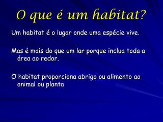 O que é um habitat?
Um habitat é o lugar onde uma espécie vive.

Mas é mais do que um lar porque inclua toda a
 área ao redor.

O habitat proporciona abrigo ou alimento ao
  animal ou planta
 
