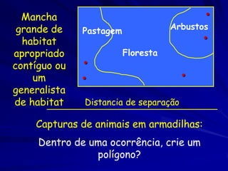 Mancha                                   •
 grande de    Pastagem              Arbustos
  habitat                                  •
apropriado               Floresta
contíguo ou   •
    um        •                        •
generalista
de habitat    Distancia de separação

    Capturas de animais em armadilhas:
     Dentro de uma ocorrência, crie um
                polígono?
 