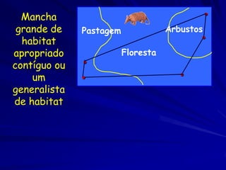 Mancha                                       •
 grande de    Pastagem              Arbustos
  habitat                                  •
apropriado               Floresta
contíguo ou   •
    um        •                        •
generalista
de habitat
 