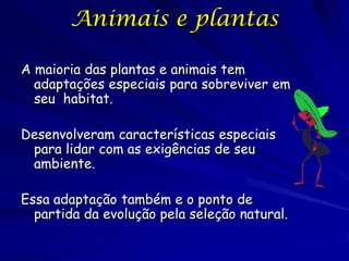 Animais e plantas

A maioria das plantas e animais tem
  adaptações especiais para sobreviver em
  seu habitat.

Desenvolveram características especiais
 para lidar com as exigências de seu
 ambiente.

Essa adaptação também e o ponto de
  partida da evolução pela seleção natural.
 