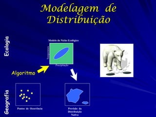 Modelagem de
                                Distribuição
Ecologia




                                           Modelo do Nicho Ecológico

                                     Temperatura




                                                   Precipitação


            Algoritmo
Geografia




              Pontos de Ocorrência                            Previsão da
                                                              Distribuição
                                                                 Nativa
 