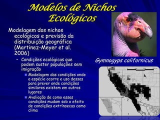 Modelos de Nichos
          Ecológicos
Modelagem dos nichos
 ecológicos e previsão da
 distribuição geográfica
 (Martinez-Meyer et al.
 2006)
   – Condições ecológicas que           Gymnogyps californicus
     podem suster populações sem
     imigração
        Modelagem das condições onde
        a espécie ocorre e uso dessas
        para prever onde condições
        similares existem em outros
        lugares
        Avaliação de como essas
        condições mudam sob o efeito
        de condições extrínsecas como
        clima
 