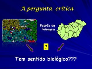A pergunta crítica


         Padrão da
          Paisagem




           ?

Tem sentido biológico???
 