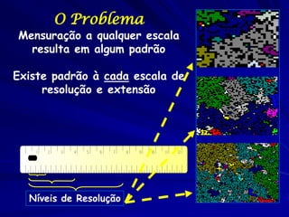 O Problema
Mensuração a qualquer escala
  resulta em algum padrão

Existe padrão à cada escala de
     resolução e extensão




  Níveis de Resolução
 