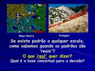 Mapa Neutro           Paisagem

 Se existe padrão a qualquer escala,
como sabemos quando os padrões são
              ‘reais'?
      O que ‘real' quer dizer?
Qual é a base conceitual para a decisão?
 