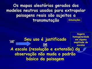 Os mapas aleatórias gerados dos
modelos neutros usados para extrapolar
    paisagens reais são sujeitos a
            transmutação      Simulações




                                    Sugere
                                 homogeneidade
          Seu uso é justificado    em alguma
 ‘SE’                             amplitude de
                   se               escalas
  A escala (resolução e extensão) da
      observação não muda o padrão
           básico da paisagem
 