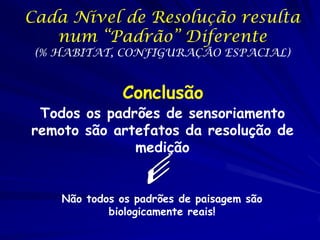 Cada Nível de Resolução resulta
   num “Padrão” Diferente
 (% HABITAT, CONFIGURAÇÃO ESPACIAL)


              Conclusão
 Todos os padrões de sensoriamento
remoto são artefatos da resolução de
              medição


    Não todos os padrões de paisagem são
            biologicamente reais!
 