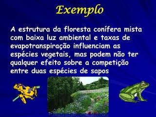 Exemplo
A estrutura da floresta conífera mista
com baixa luz ambiental e taxas de
evapotranspiração influenciam as
espécies vegetais, mas podem não ter
qualquer efeito sobre a competição
entre duas espécies de sapos
 