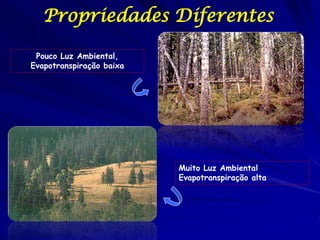 Propriedades Diferentes

 Pouco Luz Ambiental,
Evapotranspiração baixa




                          Muito Luz Ambiental
                          Evapotranspiração alta
 