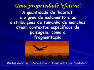 Uma propriedade ‘efetiva’:
         A quantidade de ‘habitat’
       e o grau de isolamento e as
  distribuições de tamanho de manchas
     Criam contextos específicos da
             paisagem, como a
               fragmentação




Muitas aves migratórias são influenciadas por “padrão”
 
