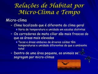Relações de Habitat por
     Micro-Clima e Tempo
Micro-clima
  – Clima localizado que é diferente do clima geral
      Var...