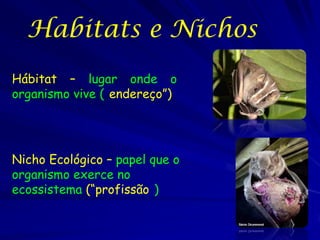 Habitats e Nichos
Hábitat – lugar onde o
organismo vive (“endereço”)




Nicho Ecológico – papel que o
organismo exerce no...