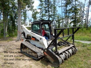 We have a forestry mulcher
and are available to provide
this and other management
services.
 
