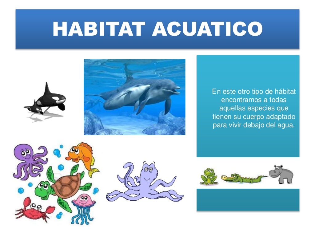 Tipos de Habitat