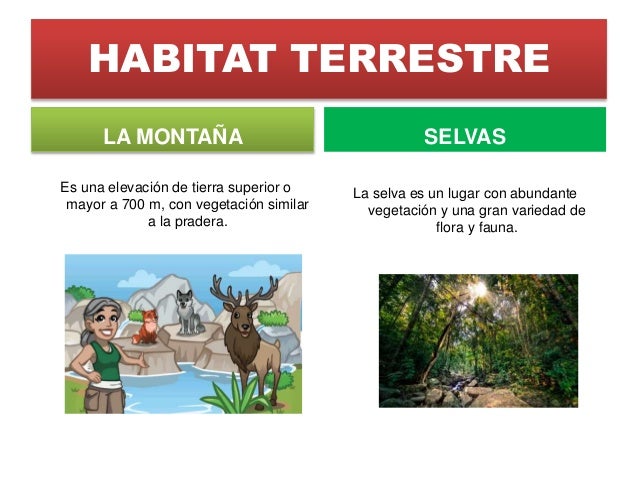 Tipos de Habitat Tipos de Habitat