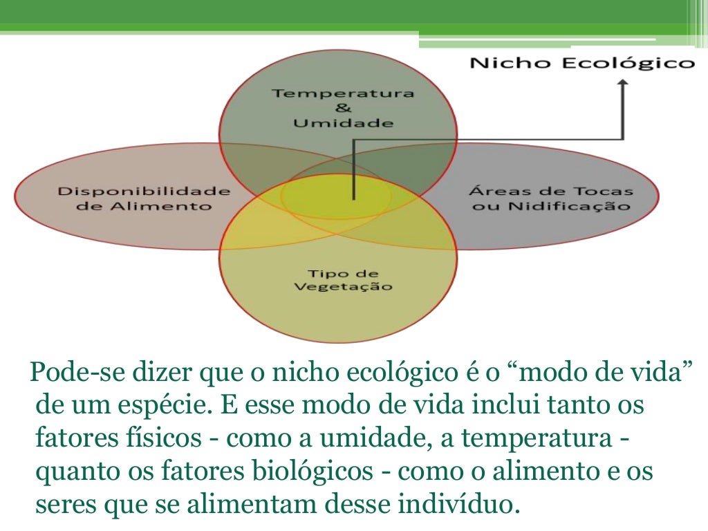 Biologia Estrutura Dos Ecossistemas Habitat E Nicho Ecológico