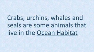 Crabs, urchins, whales and
seals are some animals that
live in the Ocean Habitat
 