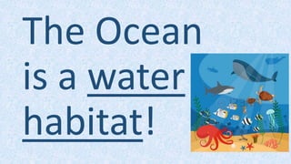 The Ocean
is a water
habitat!
 