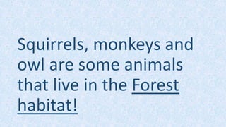 Squirrels, monkeys and
owl are some animals
that live in the Forest
habitat!
 