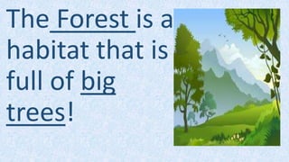 The Forest is a
habitat that is
full of big
trees!
 