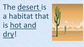 The desert is
a habitat that
is hot and
dry!
 