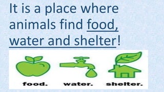 It is a place where
animals find food,
water and shelter!
 