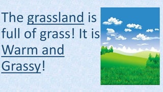 The grassland is
full of grass! It is
Warm and
Grassy!
 